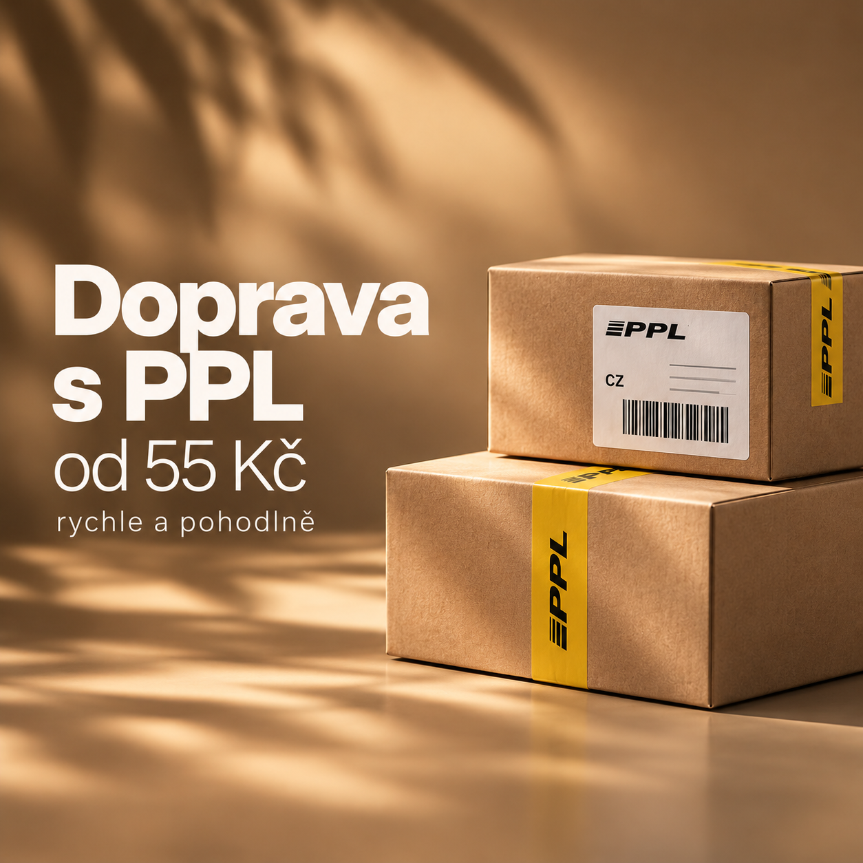 Doprava s PPL